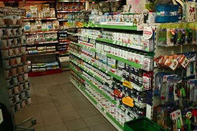 Aligator ZOO sklep zoologiczny